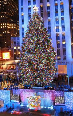 a large christmas tree in the middle of a city