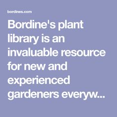 the words bordine's plant library is an invaliable source for new and experienced gardeners every