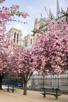 the trees are blooming in front of the building with many spires on it