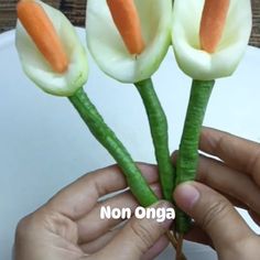 three carrot shaped flowers being held by someone's hands