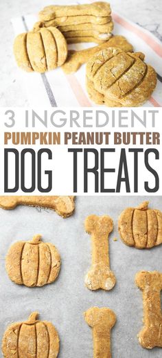 three ingredient pumpkin peanut butter dog treats