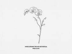 a line drawing of flowers on a white background with the words hand drawn orchid botanical png & svg