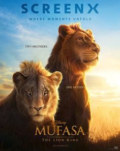 the lion king movie poster with two lions