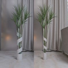 two tall white vases with green plants in them