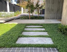 a walkway made out of stones and grass in front of a building with plants growing on it