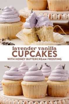 lavender vanilla cupcakes with honey buttercream frosting