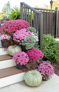 some pink flowers and green plants are on the steps in front of a house with white pumpkins