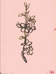 a drawing of flowers on a pink background