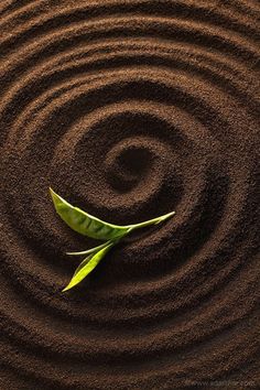 a green leaf laying on top of a red sand covered ground with circles in the background