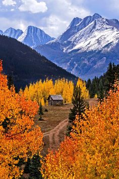 a cabin in the mountains surrounded by trees with yellow and orange leaves on it's branches