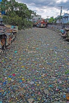 there are many garbage on the ground next to houses and trees in this area that looks like it is covered with plastic bottle caps