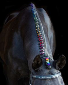 a close up of a horse's head with beads on it