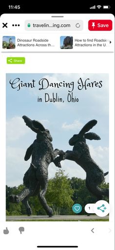 an image of two rabbits dancing together in dublin, uk on the app store's website