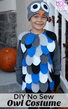 a young boy wearing an owl costume with the words diy no sew owl costume