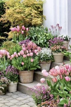 a bunch of flowers that are in some pots