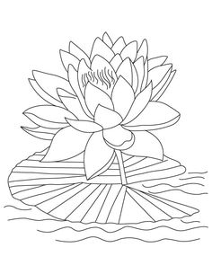 a drawing of a lotus flower on top of a lily pad with water lilies