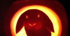 a carved pumpkin with an image of a rabbit in it's face and eyes