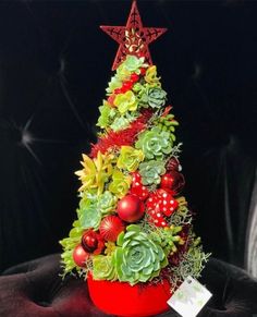 a christmas tree made out of succulents and other plants in a red pot