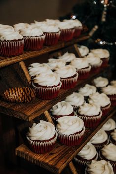 cupcakes are lined up on wooden shelves in front of a christmas tree