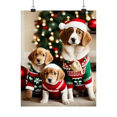 two puppies wearing christmas sweaters in front of a christmas tree with lights on