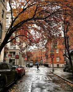 a person walking down the street with an umbrella