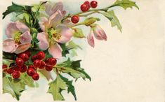 an old - fashioned christmas card with holly and pink flowers on the front, featuring red berries