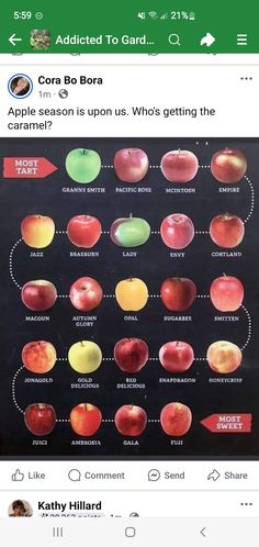 an iphone screen showing the different types of apples on it, and what they are labeled in