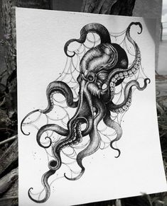 an ink drawing of an octopus on paper