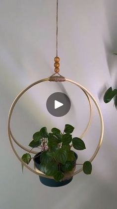 a potted plant hanging from a metal ring