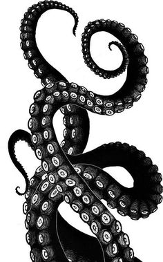 an ink drawing of an octopus in black and white