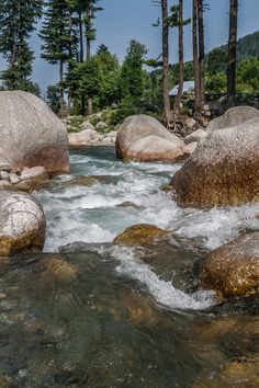 the water is rushing between two large rocks in the middle of a river surrounded by pine trees