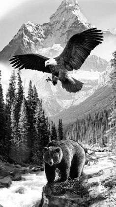 a black and white photo of an eagle flying over a bear in front of a mountain