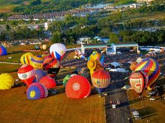 many colorful hot air balloons are in the sky