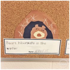 a bulletin board with an image of a bear and the words bears hibernate in the winter