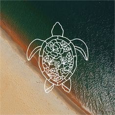 an aerial view of a sea turtle with flowers on it's head and the ocean in the background