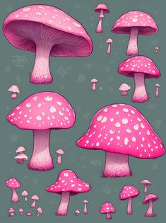 a group of pink mushrooms sitting on top of a green field