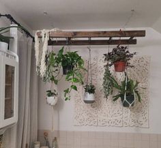 several hanging plants in pots on the wall next to a kitchen sink and stove top