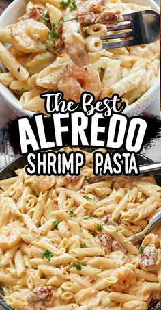 the best alfredo shrimp pasta recipe is ready in minutes and it's so easy to make