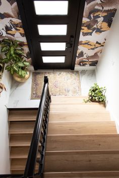 an overhead view of a stair case with plants on the wall and carpeted floor