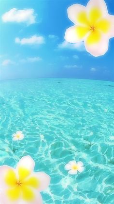 two white and yellow flowers floating on top of the ocean water with blue skies in the background