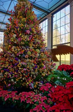 a large christmas tree surrounded by colorful flowers