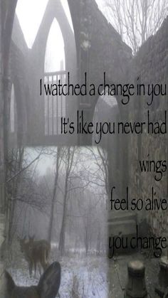 two pictures with the words i watched a change in you it's like you never had wings feel so alive you change