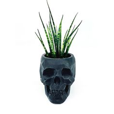 a black skull planter with green plants in it on a white background, that is also used as a decoration