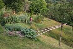 Garden Trellis Fence, Food Forest Garden, Veg Garden, Home Vegetable Garden, Samos, Garden Yard Ideas, Vegetable Garden Design, Food Garden