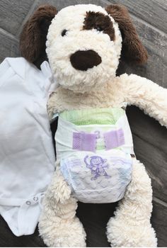 a stuffed dog wearing a diaper next to a baby's bodysuit on a wooden floor