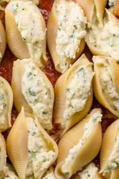 pasta shells with sauce and parmesan cheese on top