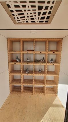 an empty room with wooden shelves filled with bird figurines