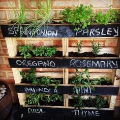 a wooden pallet filled with different types of plants and herbs on top of each other