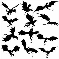 the silhouettes of bats on a white background are shown in black and have different shapes