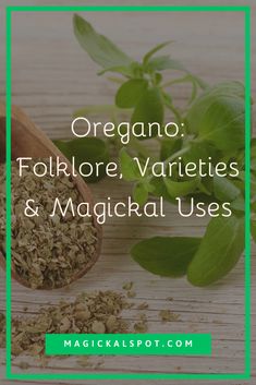 The Mediterranean herb Oregano is often used in cooking to add an intense, aromatic flavor to dishes, but its magickal and healing uses provide a deeper meaning for the ingredient. In this article, we'll explore the lore, variety, and utility of Oregano in the magickal community. From its beneficial properties to its magickal applications, we'll provide a complete picture of why this popular herb is a valuable addition to any kitchen witch pantry. Witch Pantry, Green Magic, Deeper Meaning, Wiccan Spells, Kitchen Witch, Spell Book, The Mediterranean, Healing Properties